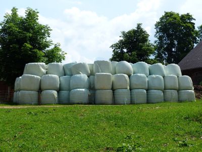 Silage Gras Mais Oder Heu Alle Infos Online LEXA Pferdefutter